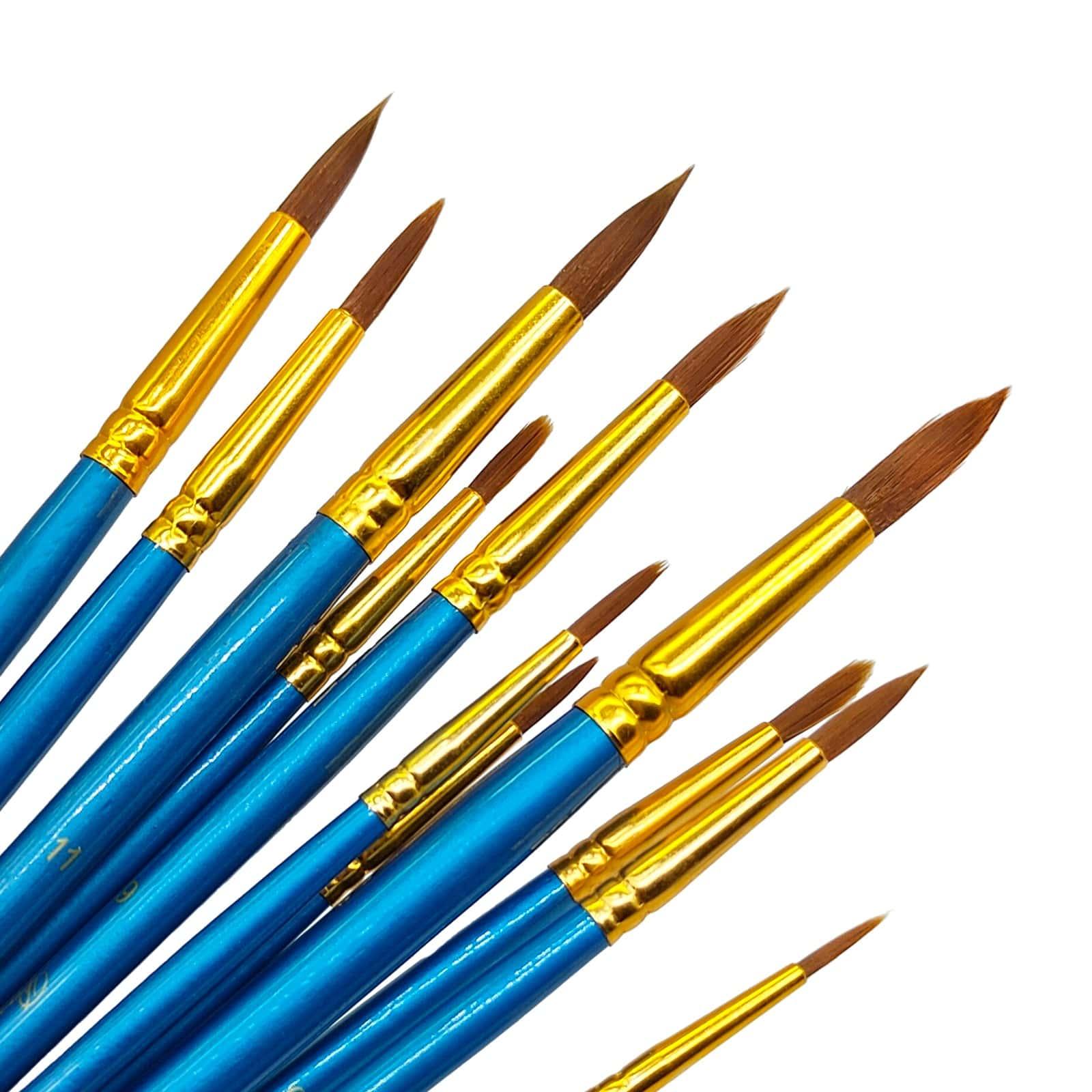 Blue Handle Paint Brush Set (12 Pieces) - Assorted Shapes & Sizes - Image 2