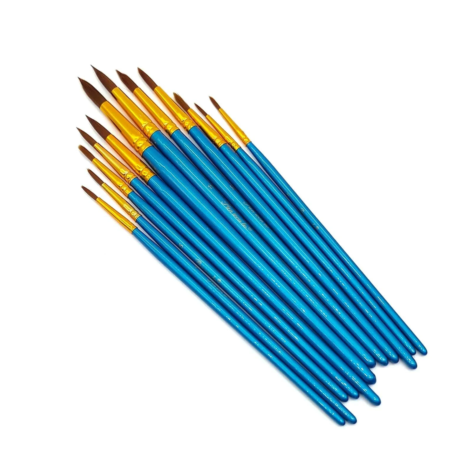 Blue Handle Paint Brush Set (12 Pieces) - Assorted Shapes & Sizes - Image 3