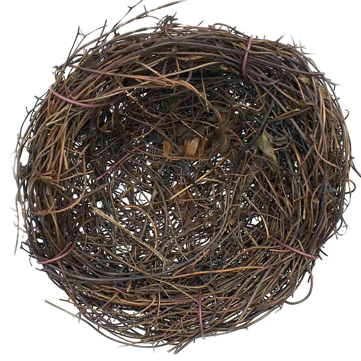 Bird nest for decoration  & diy projects 10 Cm (Birds not included)- Contain 1 Unit - Image 3