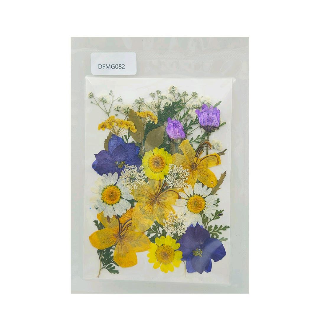 Multi Floral Pressed Pack – Aesthetic DIY Art & Decoration | Pack of 1