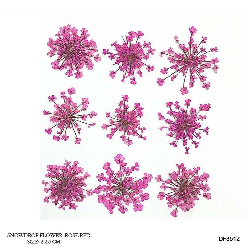 Pink Dried Flowers – Aesthetic Resin Jewelry & Craft Decoration | Pack of 1 - Image 2