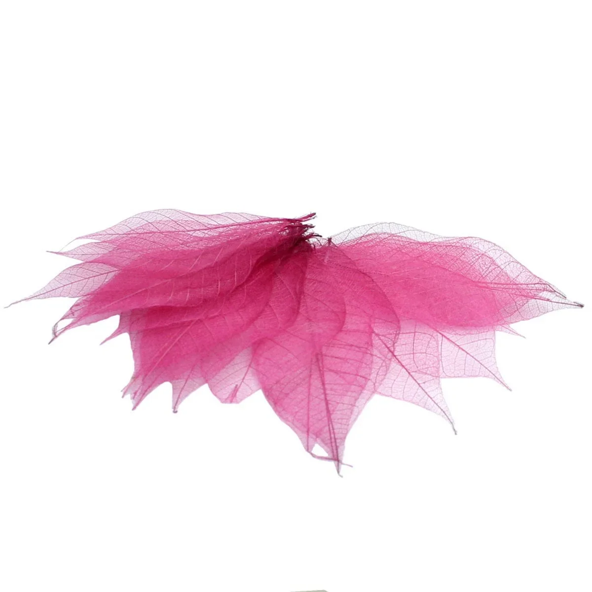 Dried Veins Leaf LF2X25 assorted Colour - Image 3