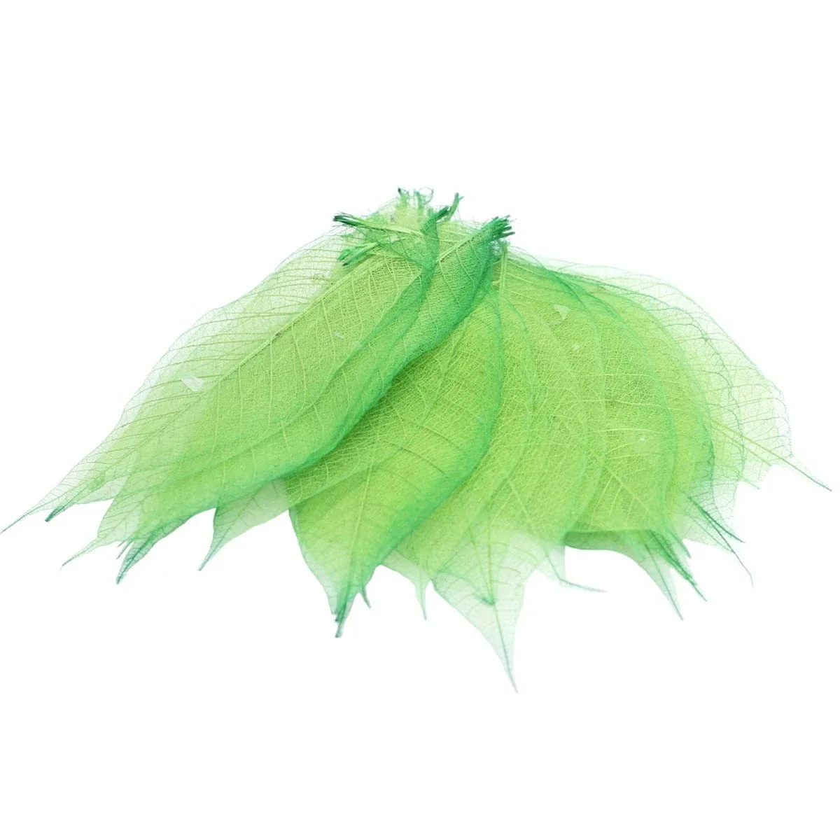 Dried Veins Leaf LF4X25 assorted colours - Image 3