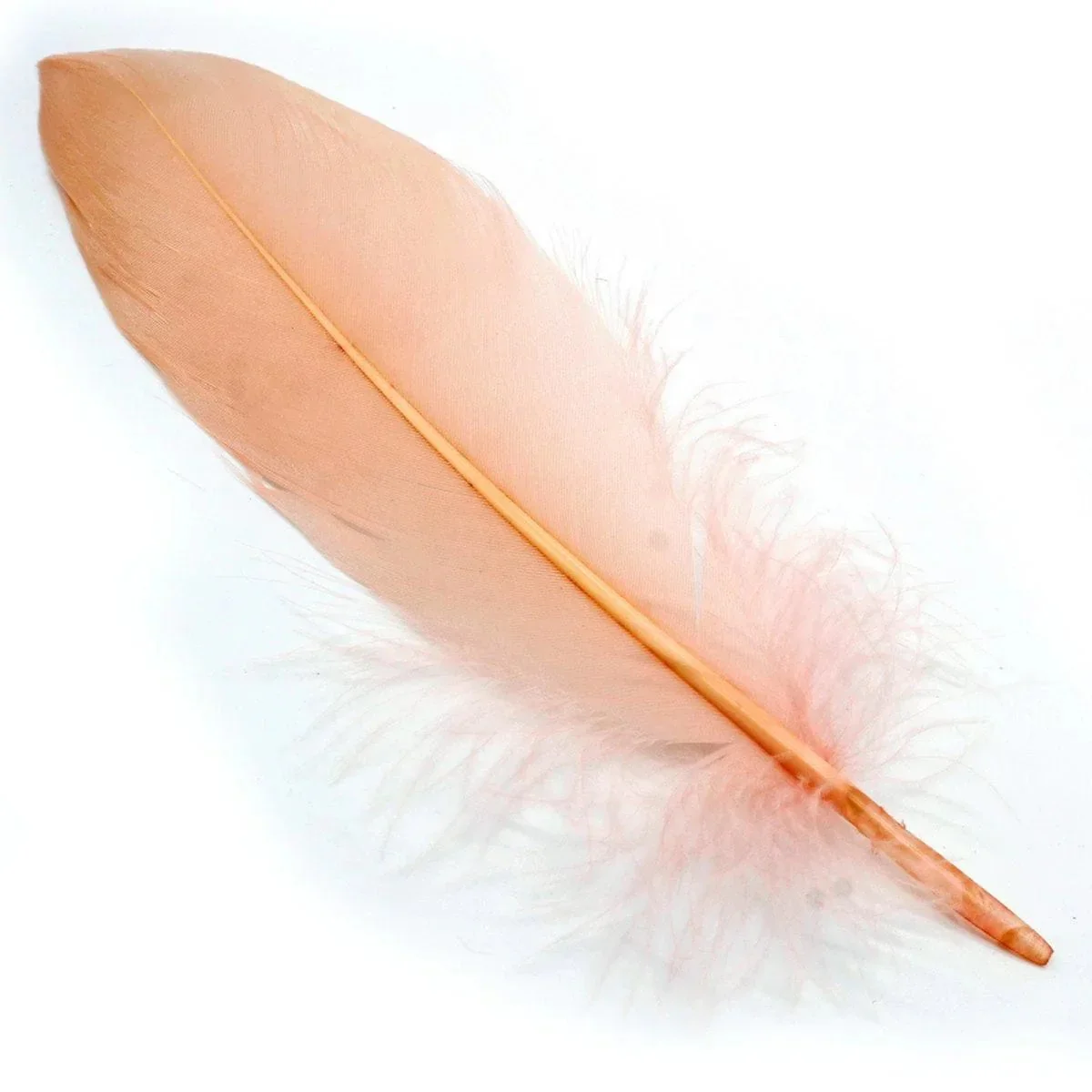Feather Artificial Medium Colour 10pcs CFM-A - Image 3