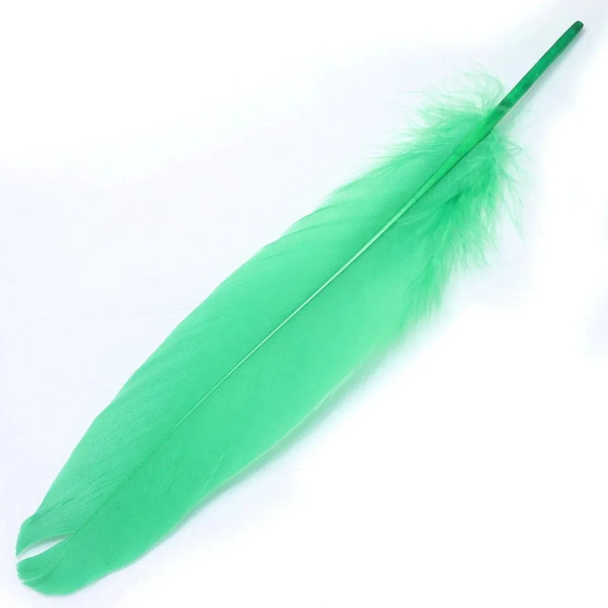 Feather Artificial Medium Multi 10pcs CFMM - Image 2