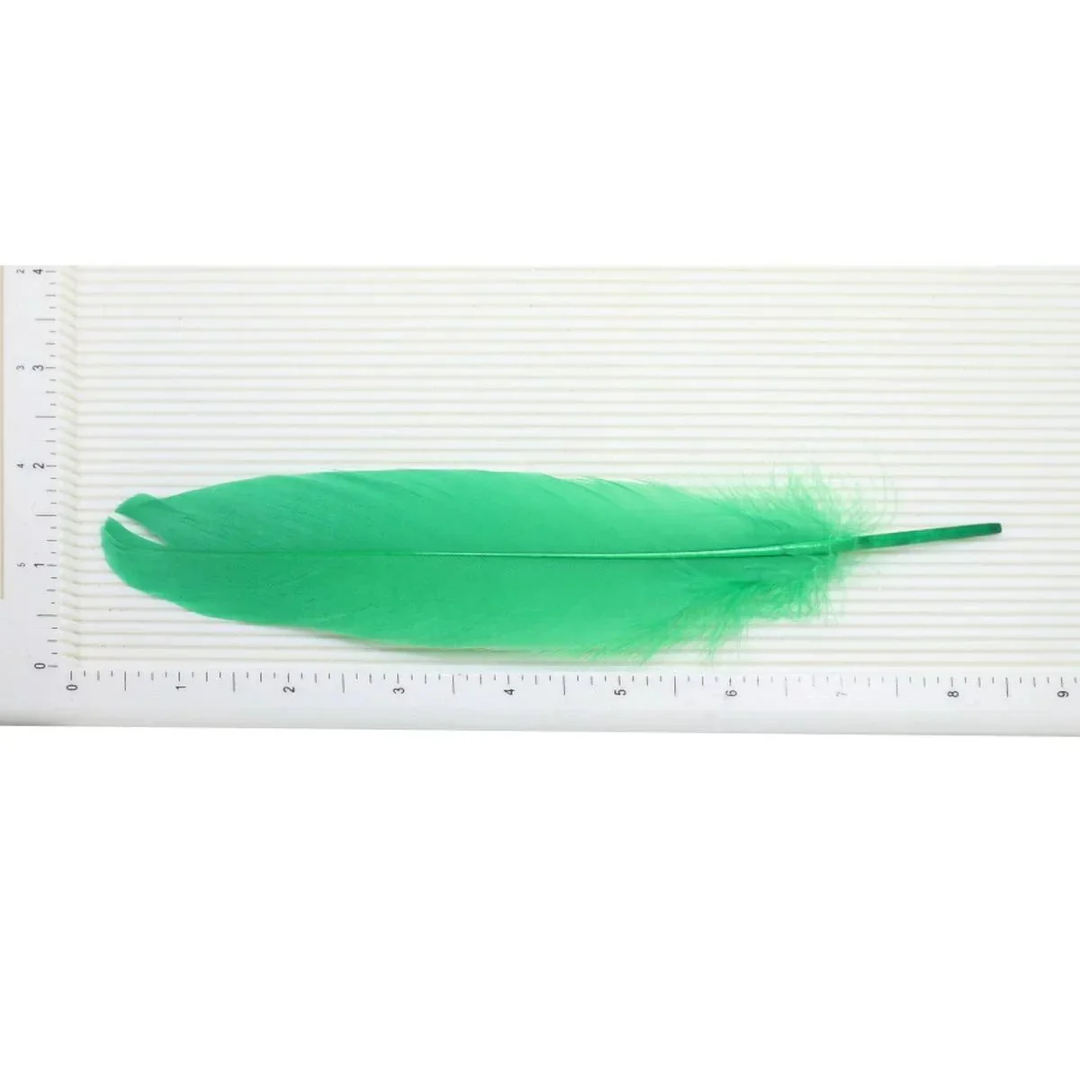 Feather Artificial Medium Multi 10pcs CFMM - Image 3