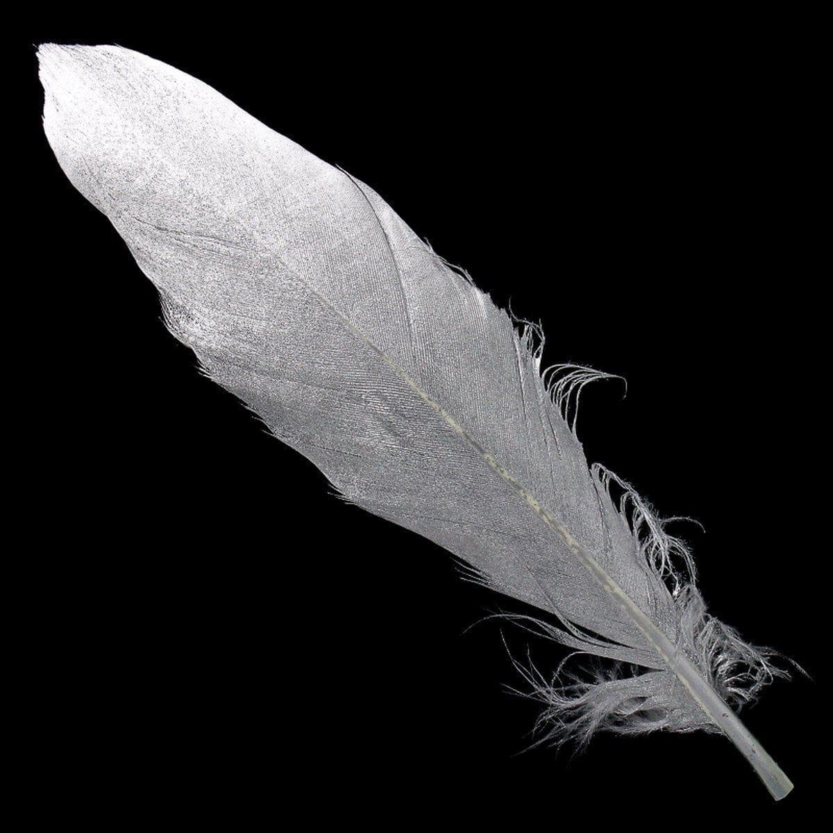 Feather Artificial Medium Silver 10pcs CFM-SR - Image 2