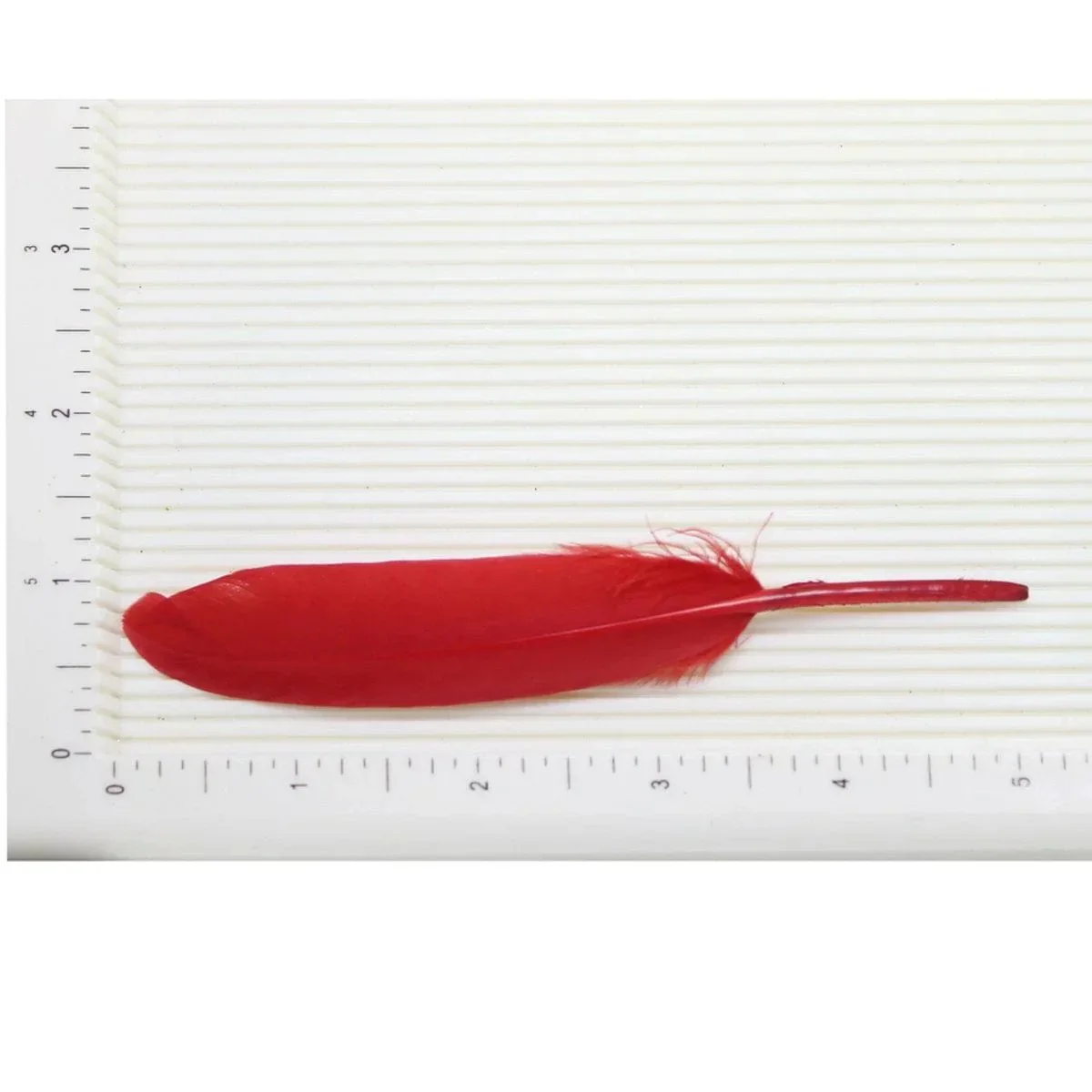 Feather Artificial Small Multi 10pcs CFMS - Image 3