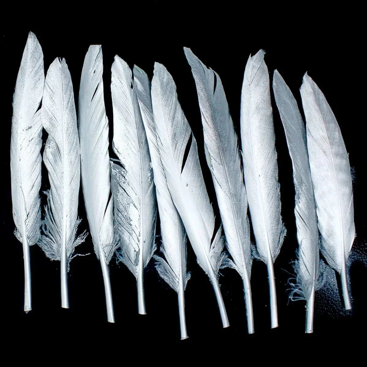 Feather Artificial Small Silver 10pcs - Image 3