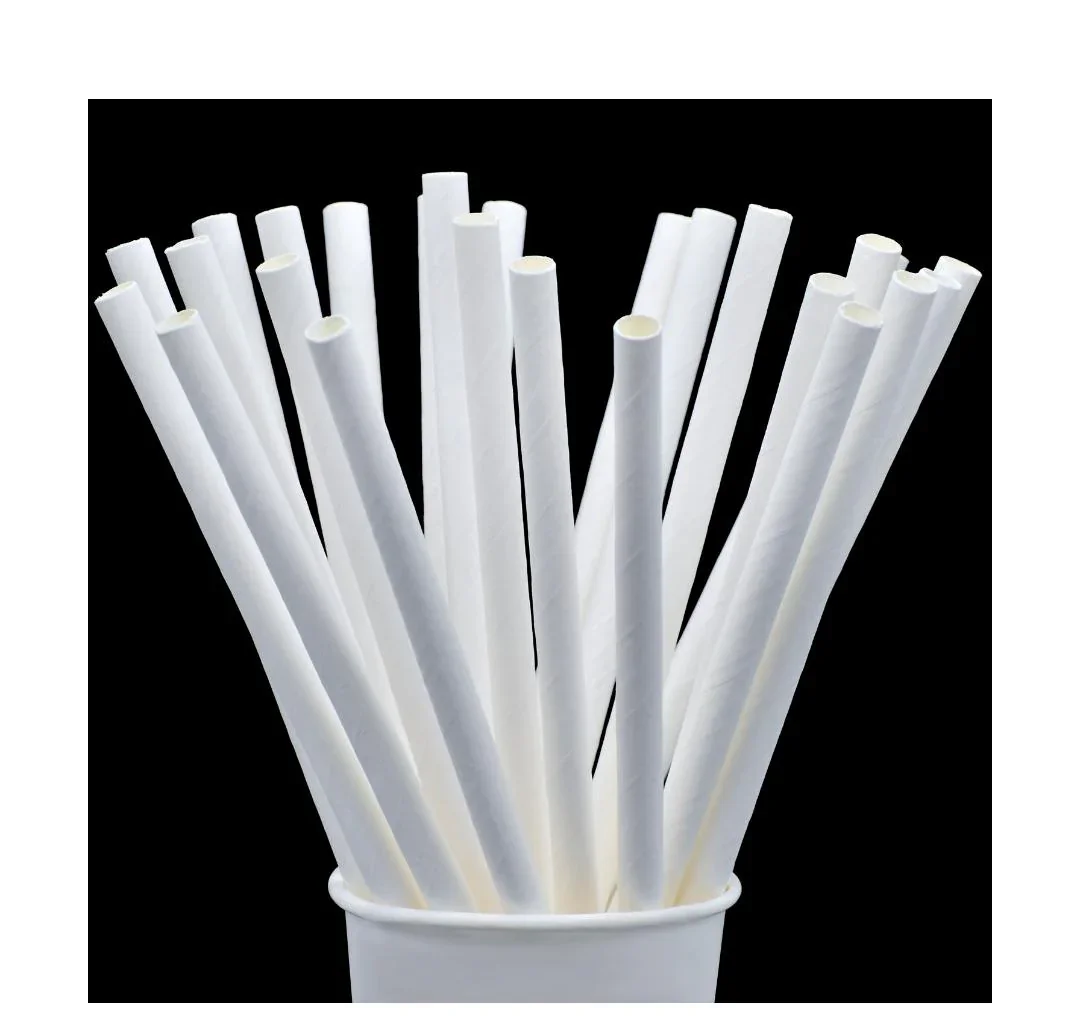 Jags Paper Straw White Plain 25Pcs 8MM JPSW8MM - Image 4