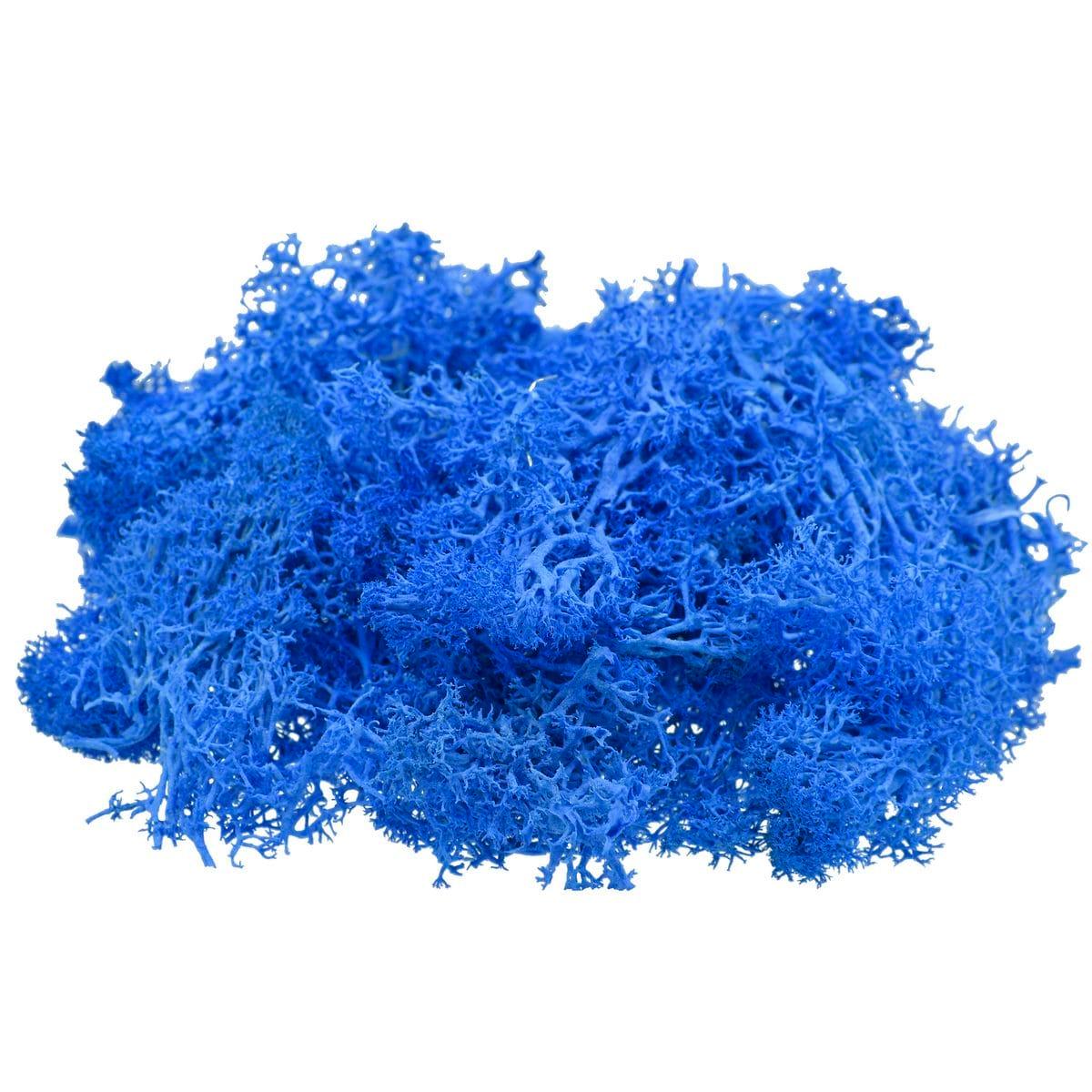 Jags Reindeer Moss 20  Grams Dark Blue - Image 2