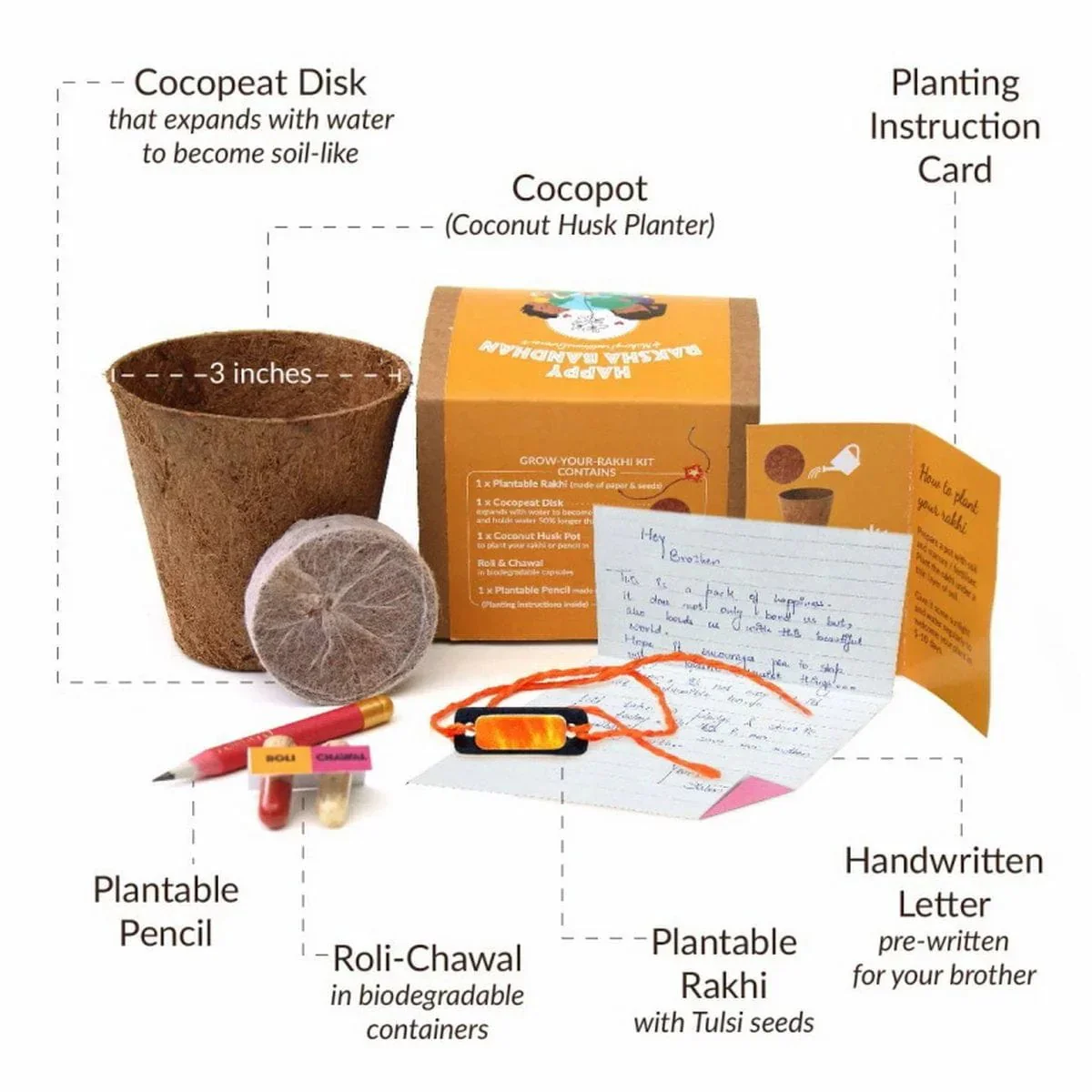 Tulsi Seed Rakhi - Plantable Yellow Box - Image 2
